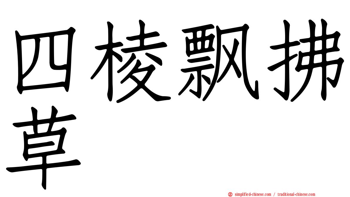 四棱飘拂草