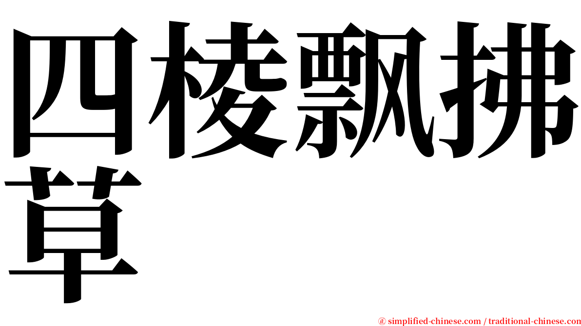 四棱飘拂草 serif font