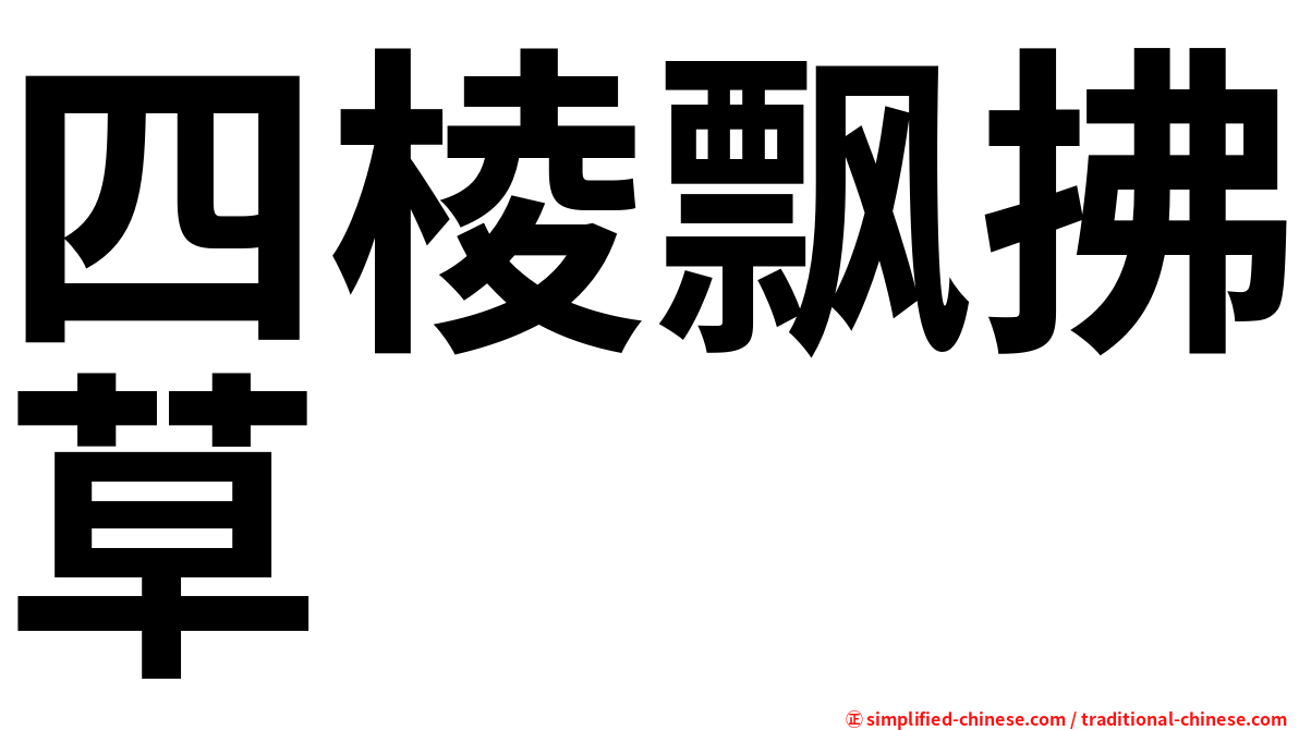 四棱飘拂草