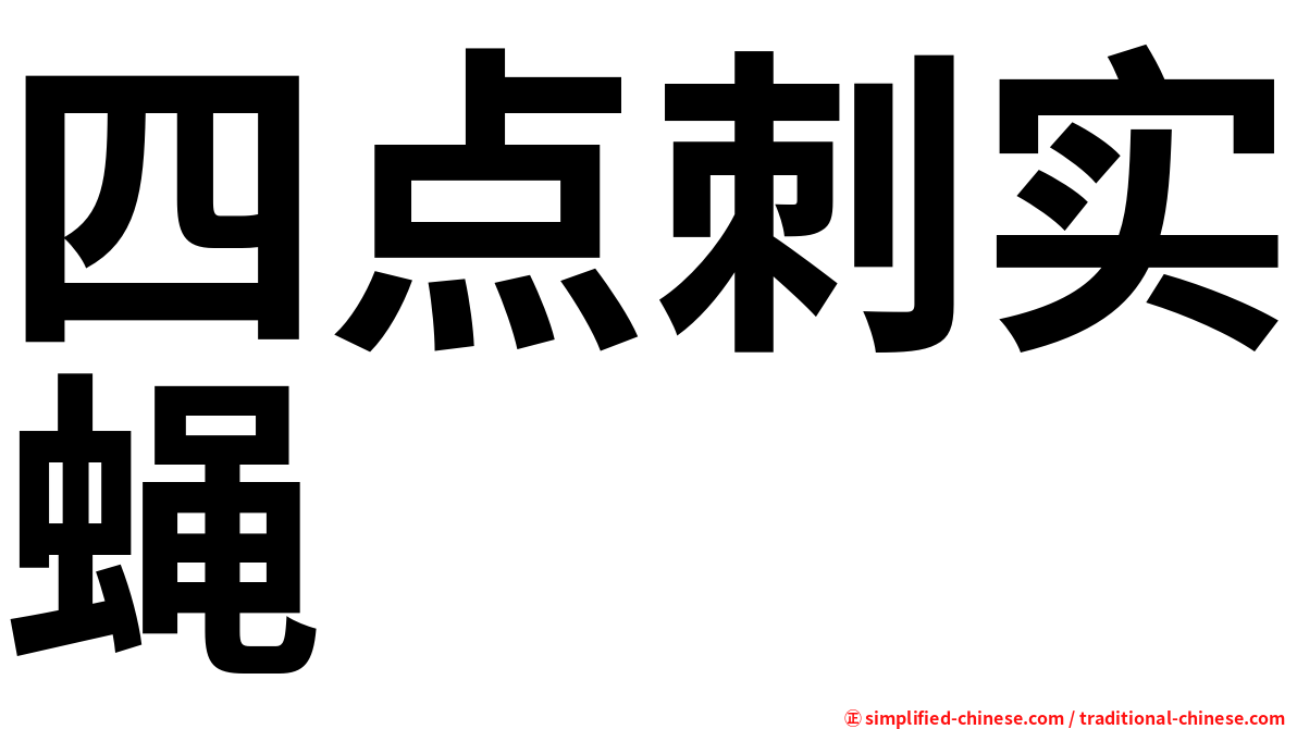 四点刺实蝇
