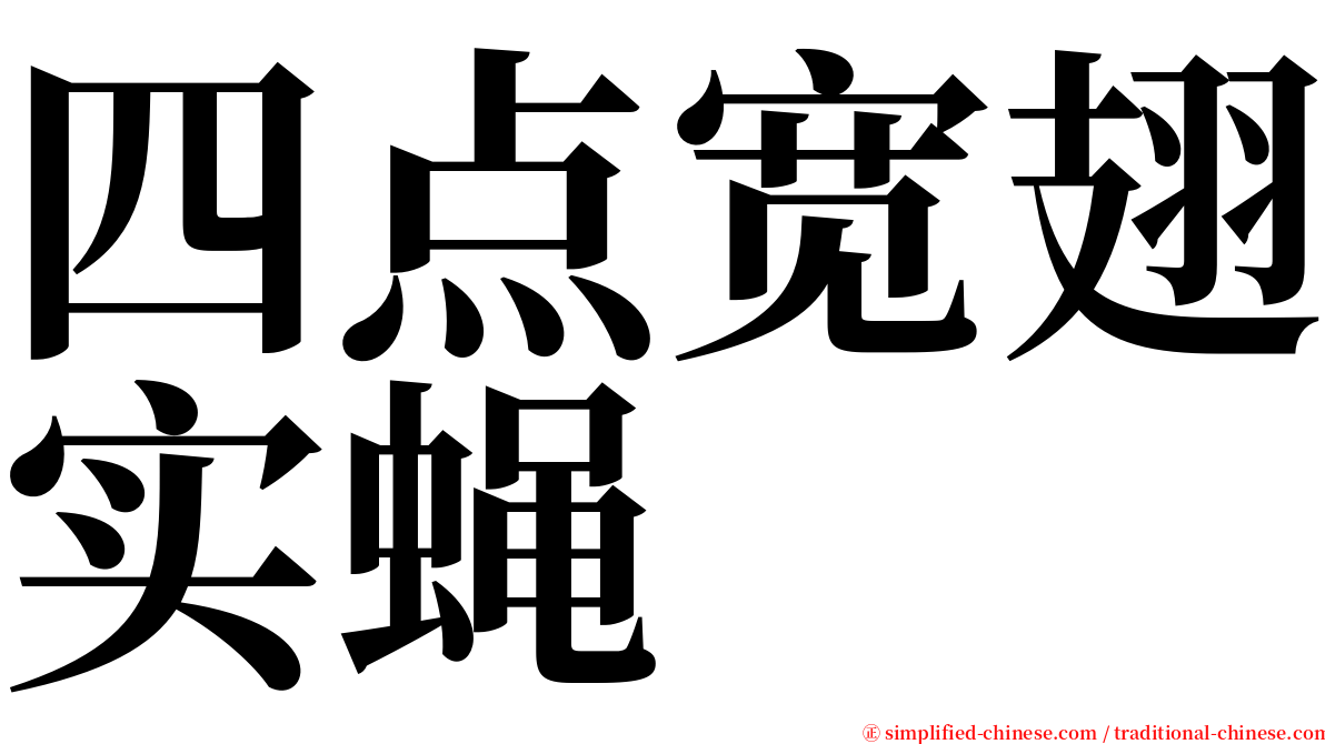 四点宽翅实蝇 serif font