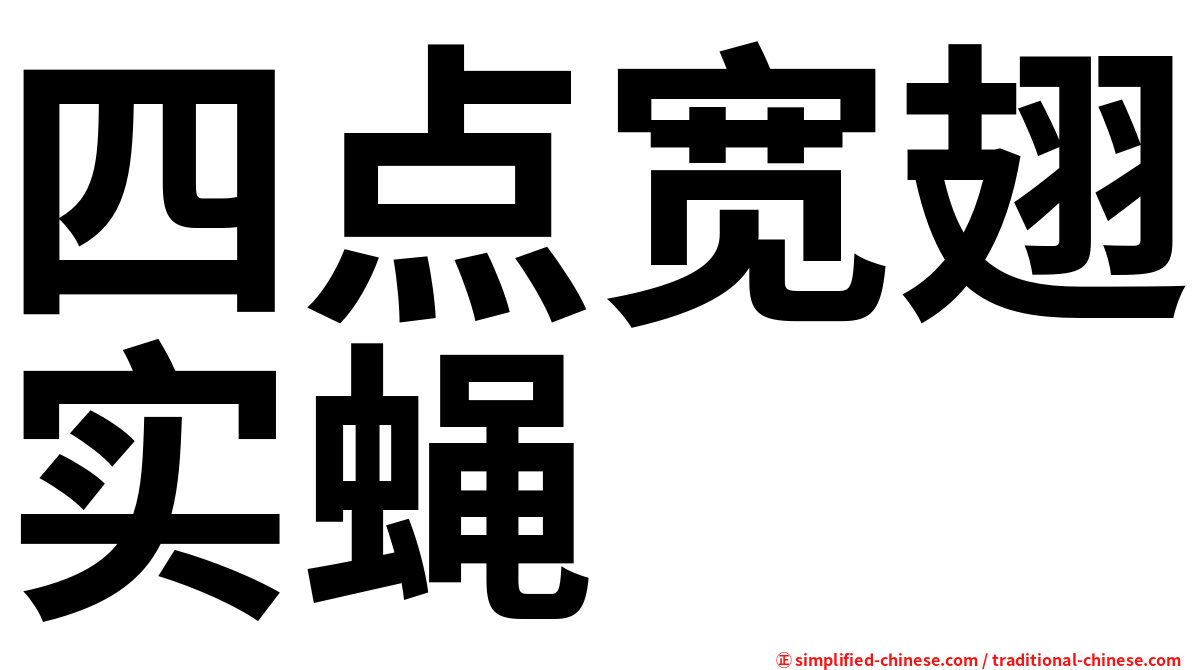 四点宽翅实蝇