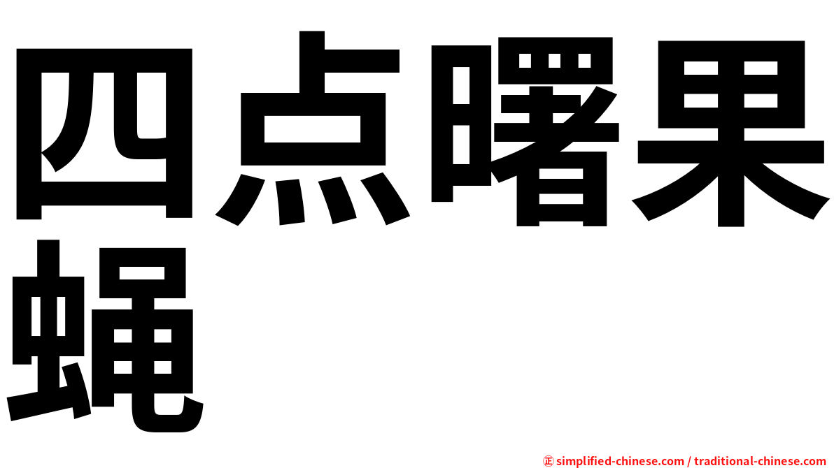 四点曙果蝇