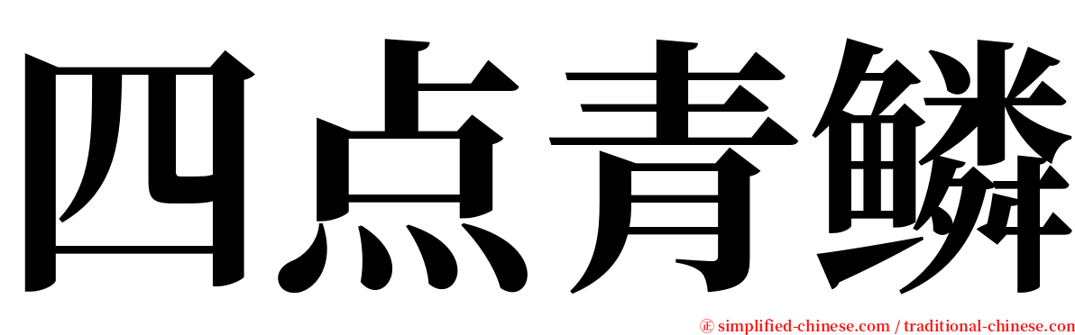四点青鳞 serif font