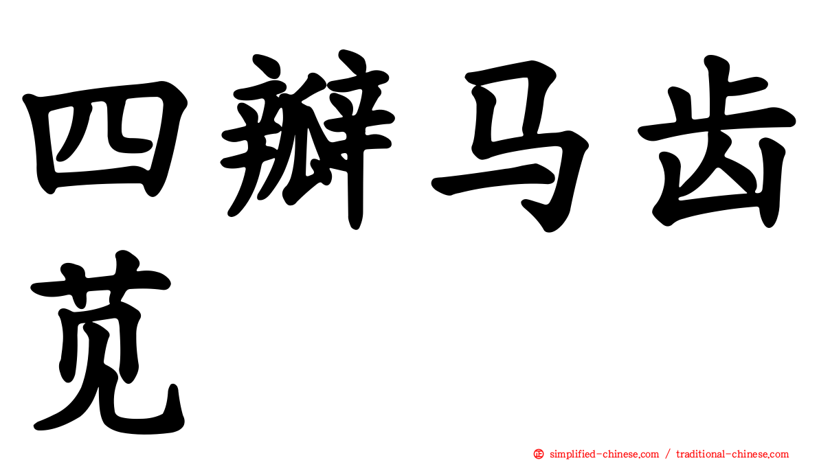四瓣马齿苋