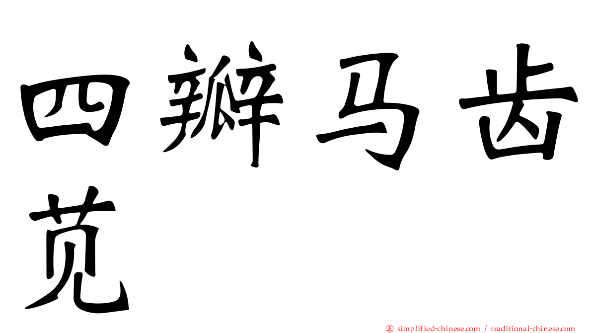 四瓣马齿苋