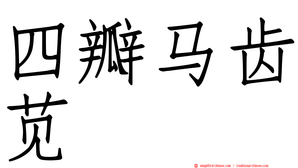 四瓣马齿苋