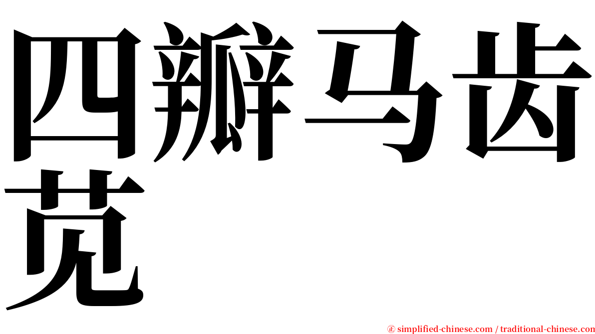 四瓣马齿苋 serif font