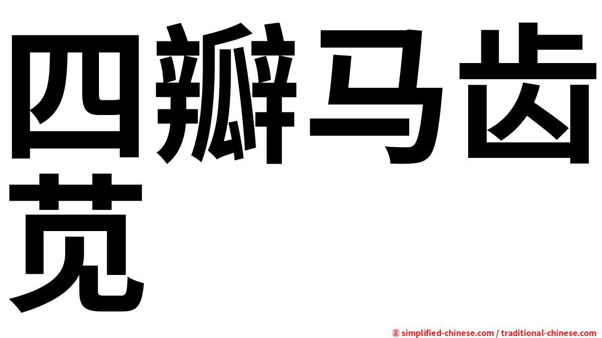 四瓣马齿苋