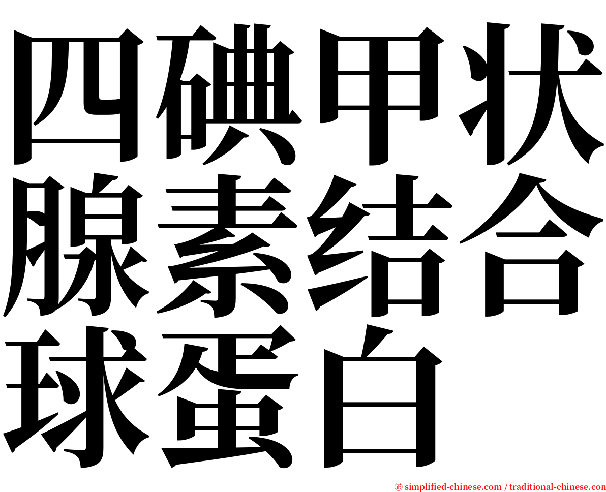 四碘甲状腺素结合球蛋白 serif font