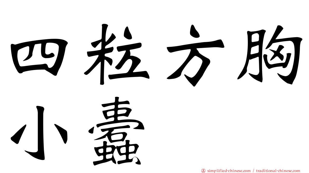 四粒方胸小蠹