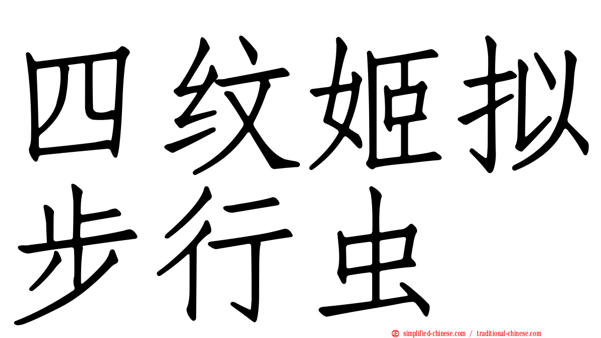 四纹姬拟步行虫