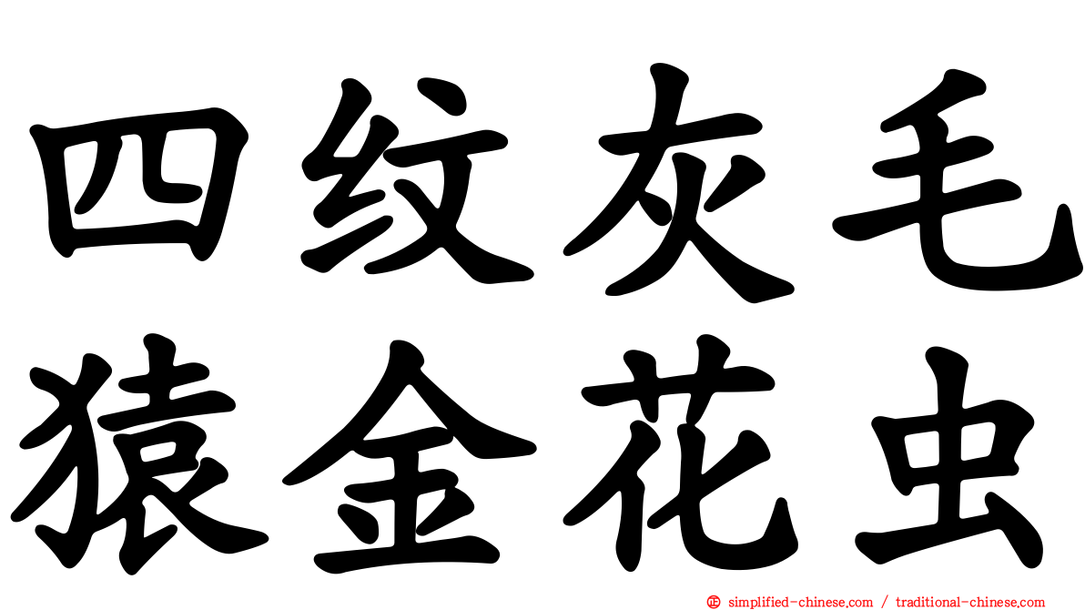 四纹灰毛猿金花虫