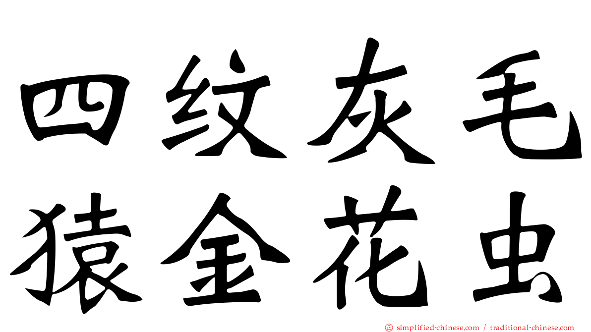 四纹灰毛猿金花虫