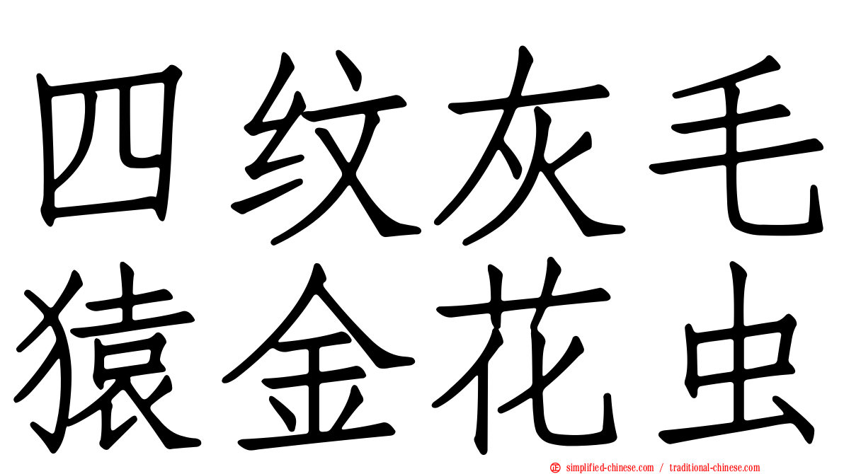 四纹灰毛猿金花虫