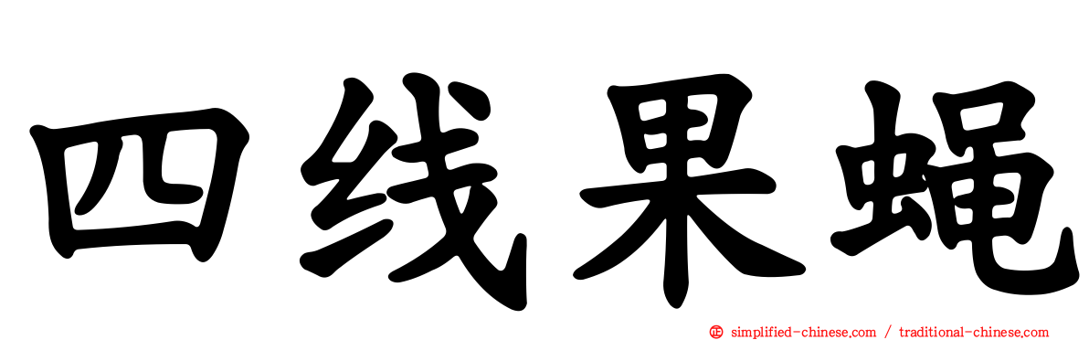 四线果蝇