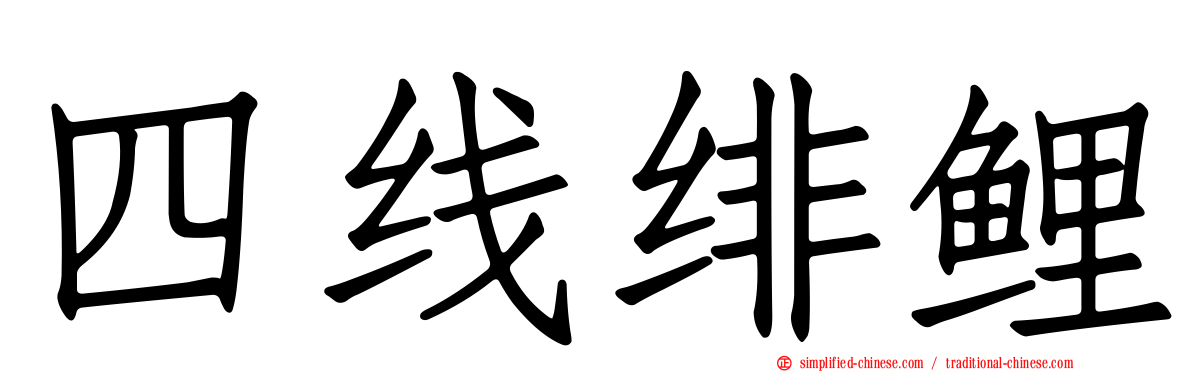 四线绯鲤
