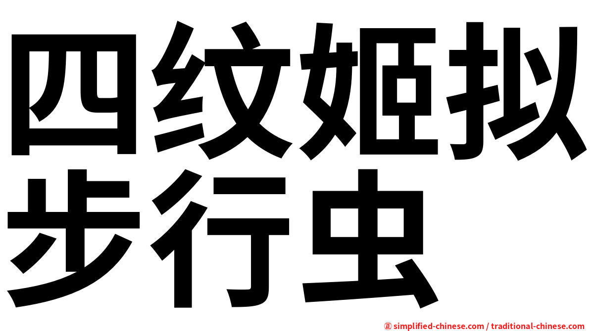 四纹姬拟步行虫