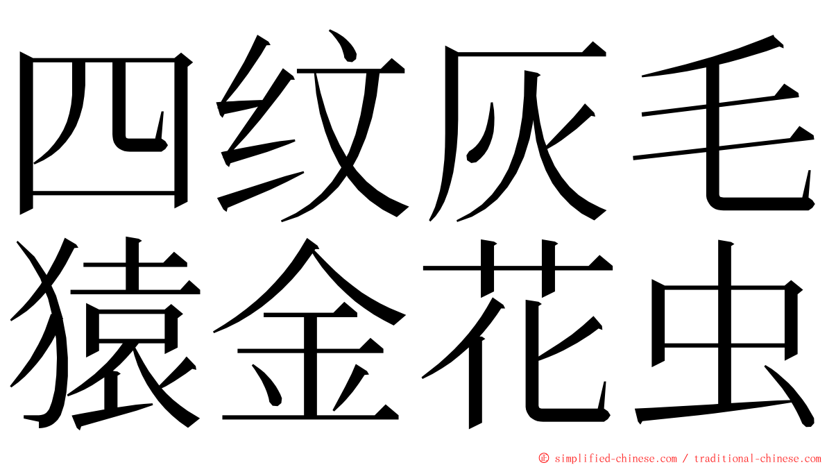 四纹灰毛猿金花虫 ming font