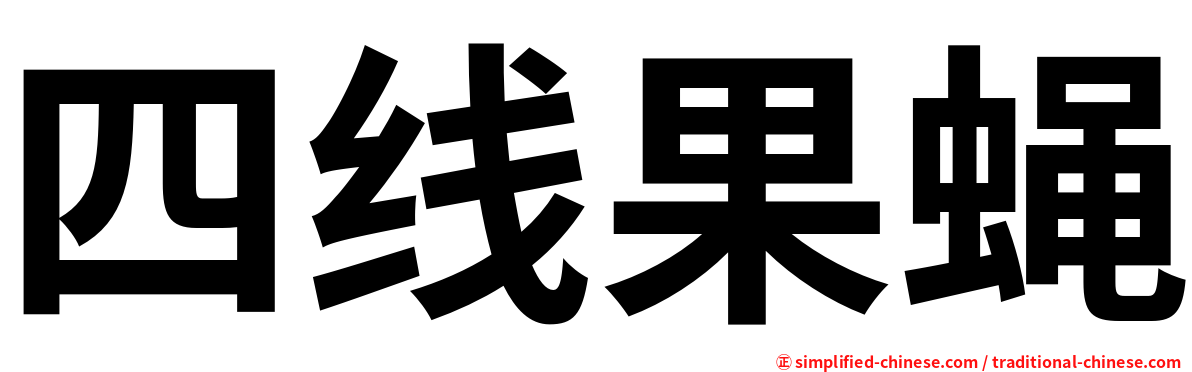 四线果蝇