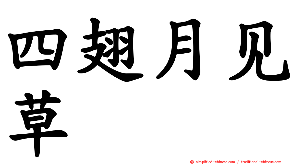 四翅月见草