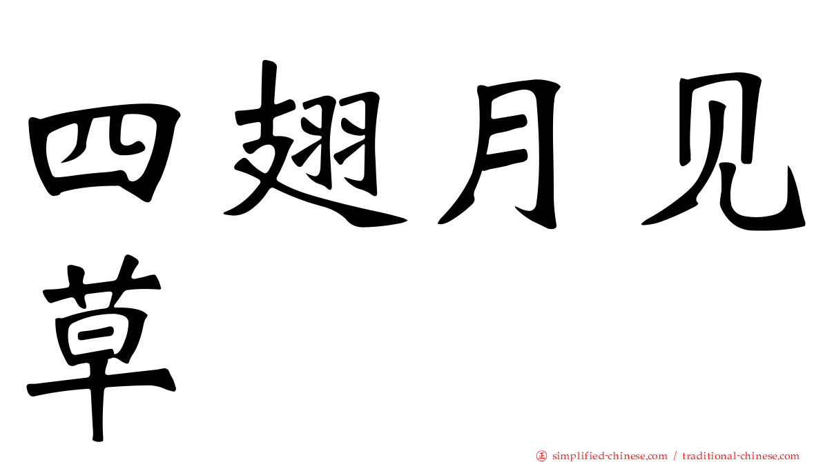 四翅月见草