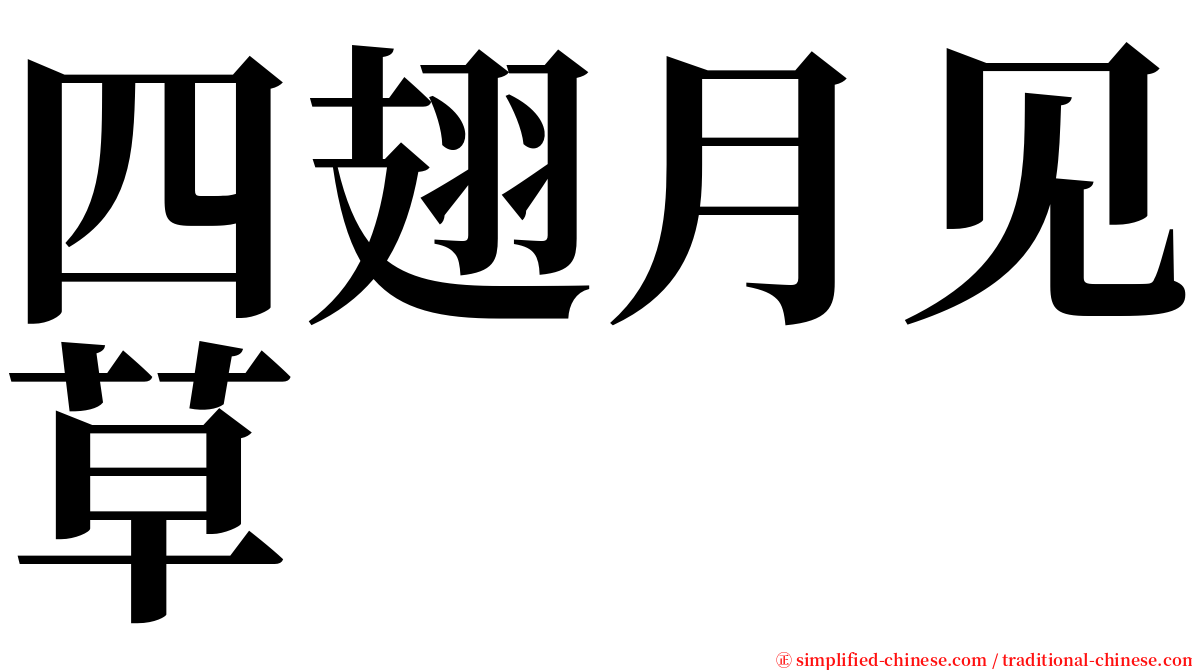 四翅月见草 serif font