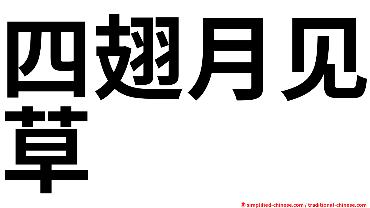 四翅月见草