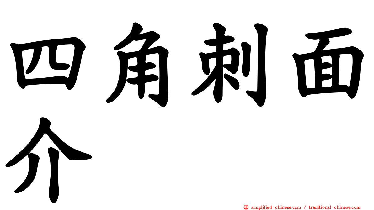 四角刺面介