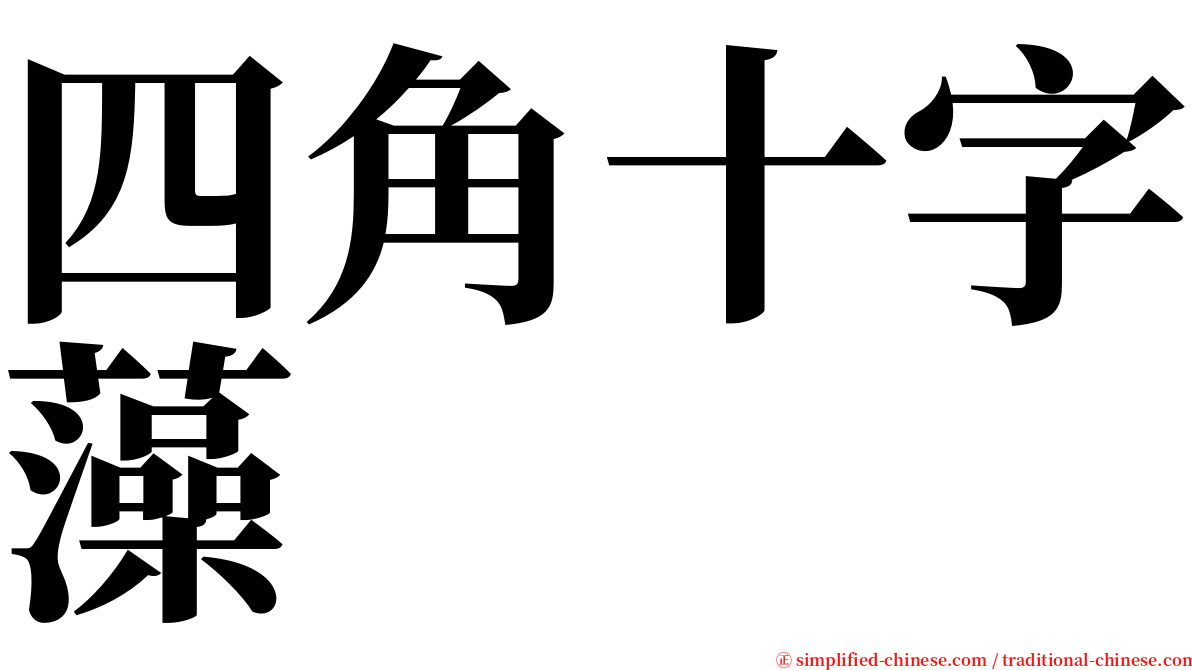 四角十字藻 serif font