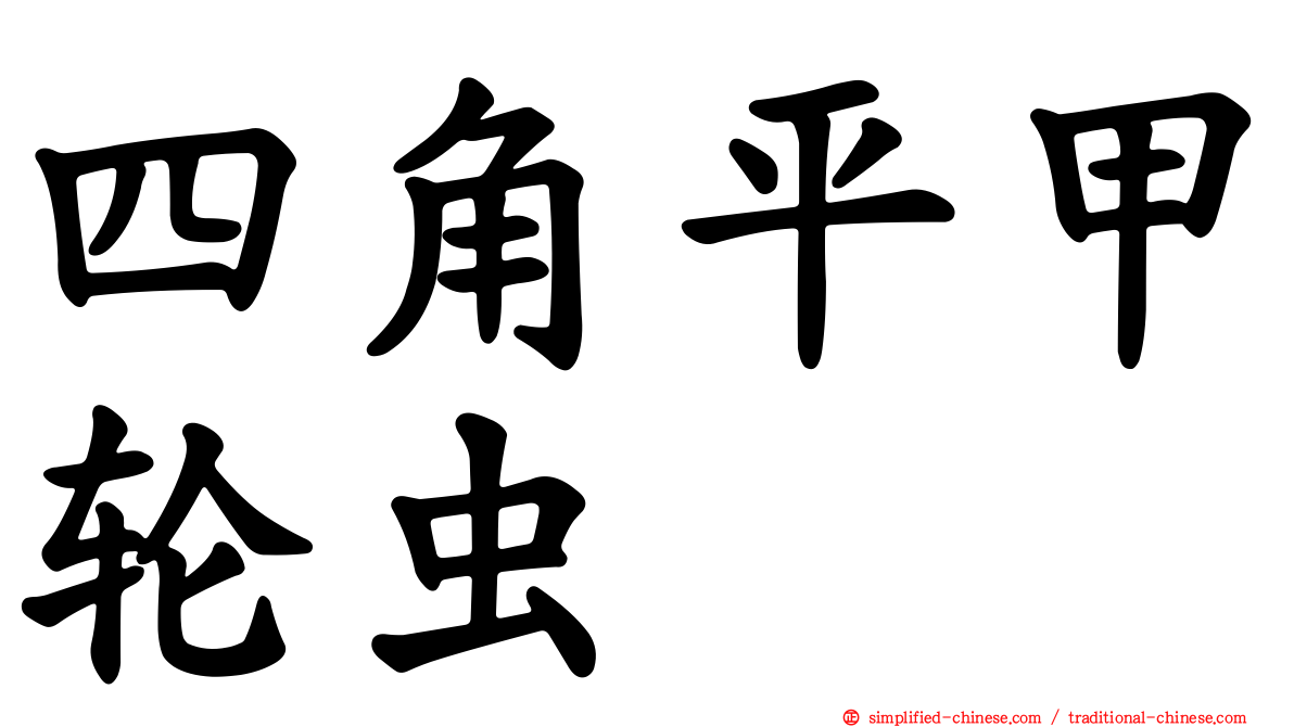 四角平甲轮虫