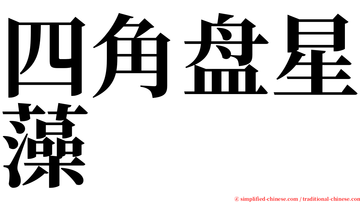 四角盘星藻 serif font