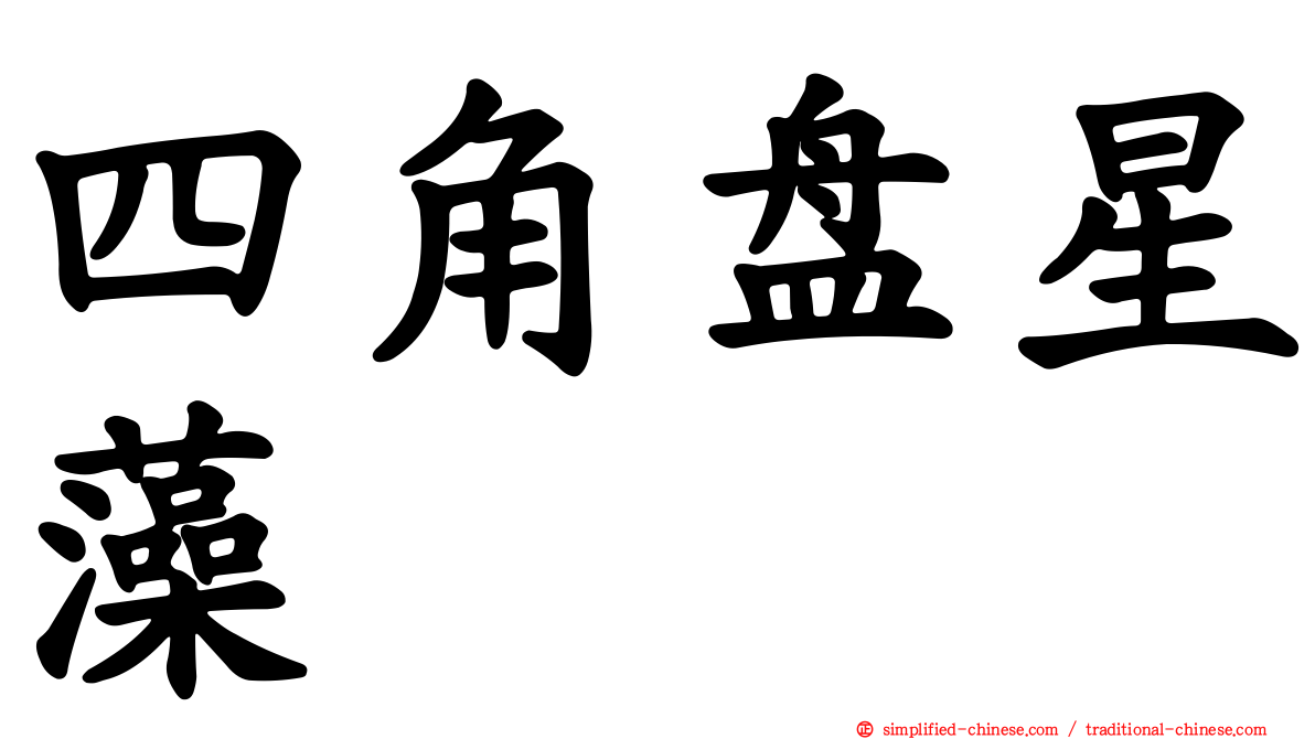 四角盘星藻