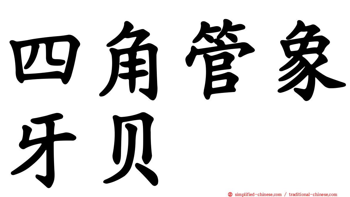 四角管象牙贝