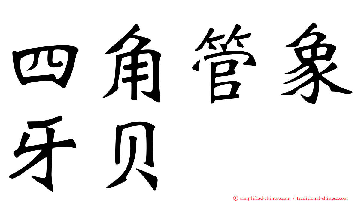 四角管象牙贝