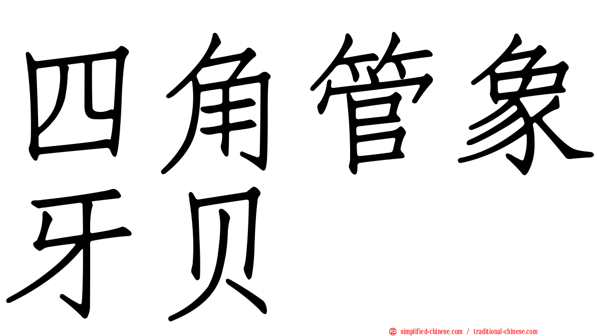 四角管象牙贝