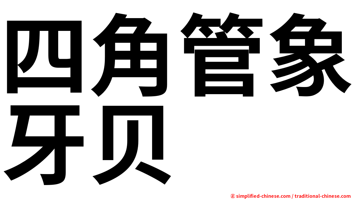 四角管象牙贝