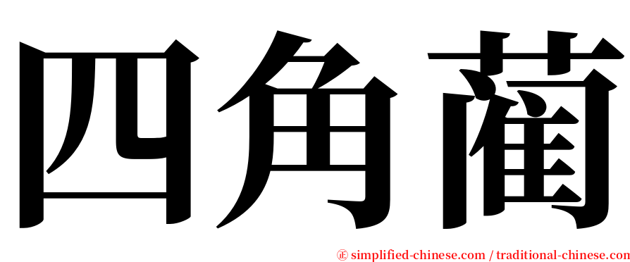 四角蔺 serif font