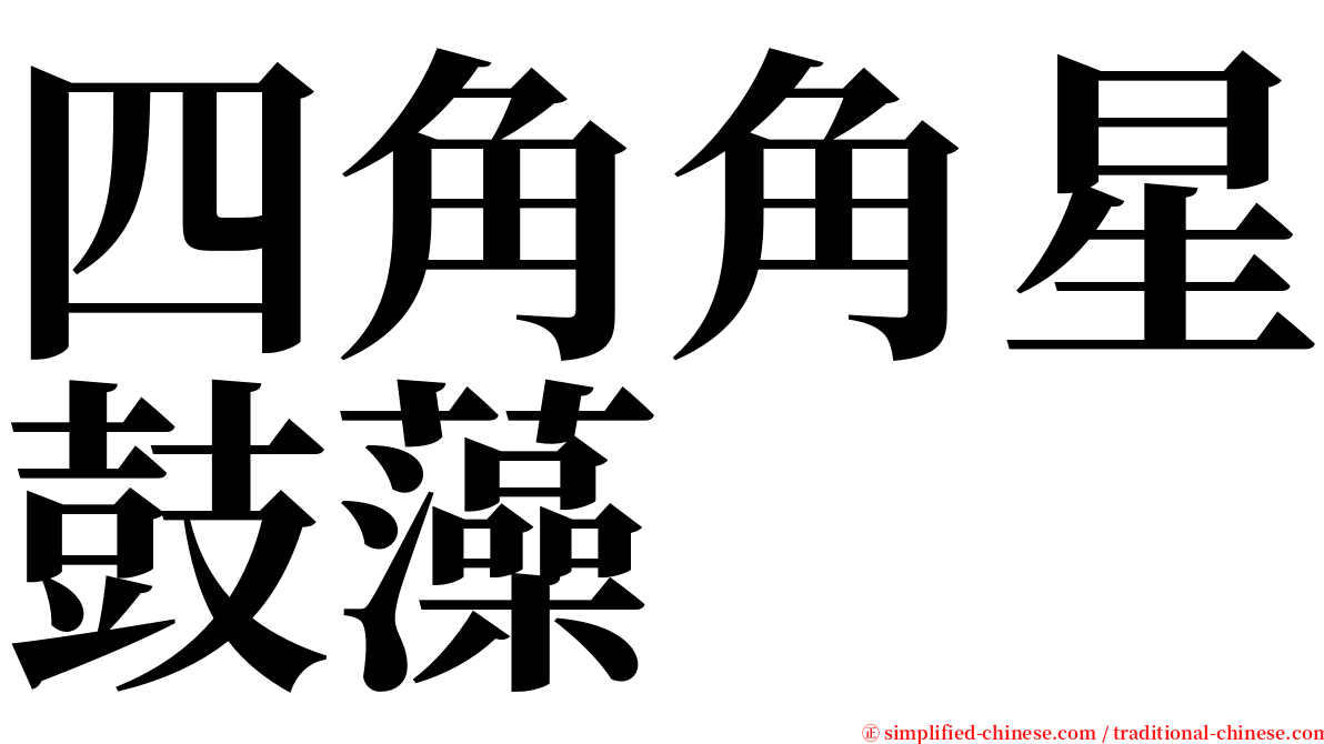 四角角星鼓藻 serif font