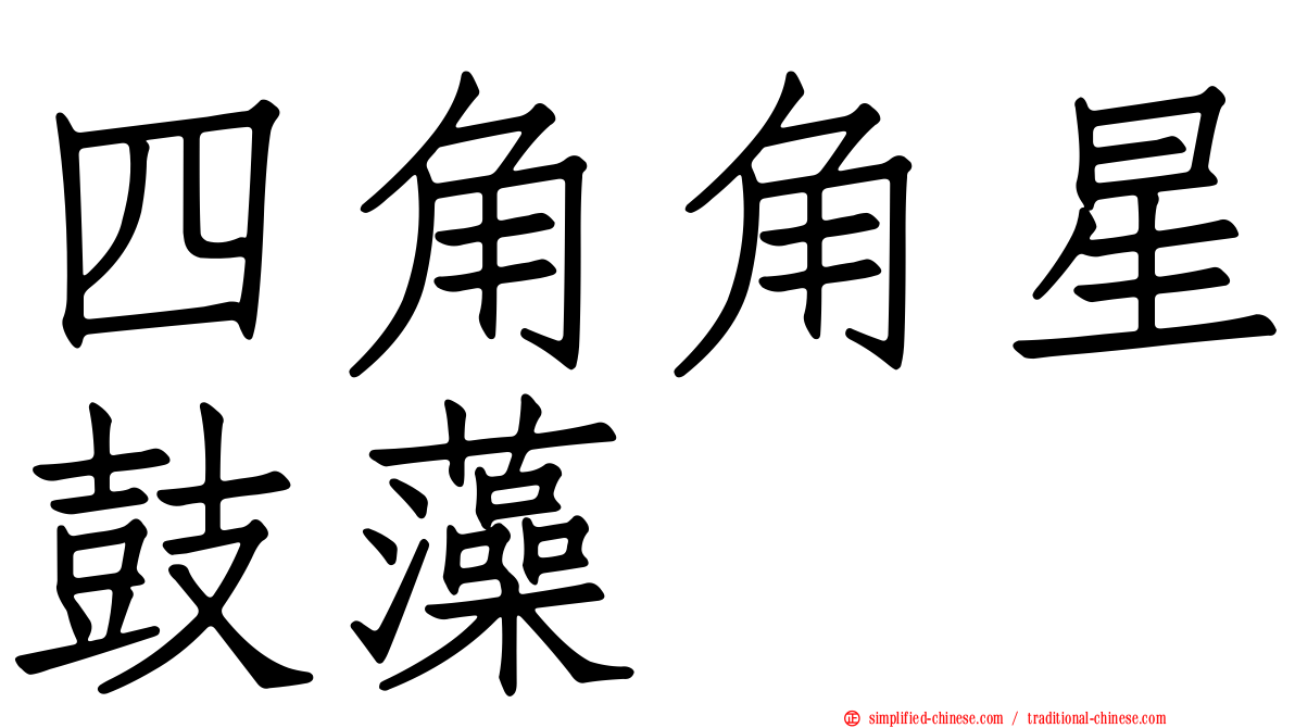 四角角星鼓藻