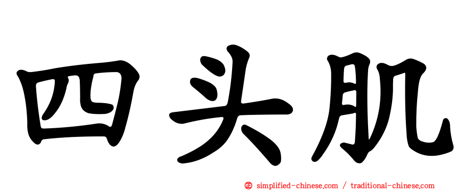 四头肌