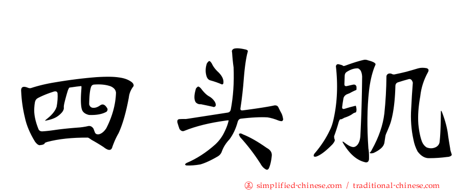 四头肌
