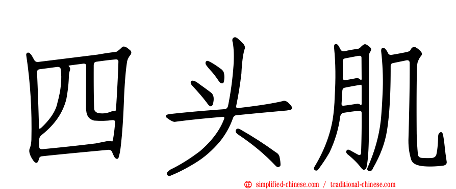 四头肌