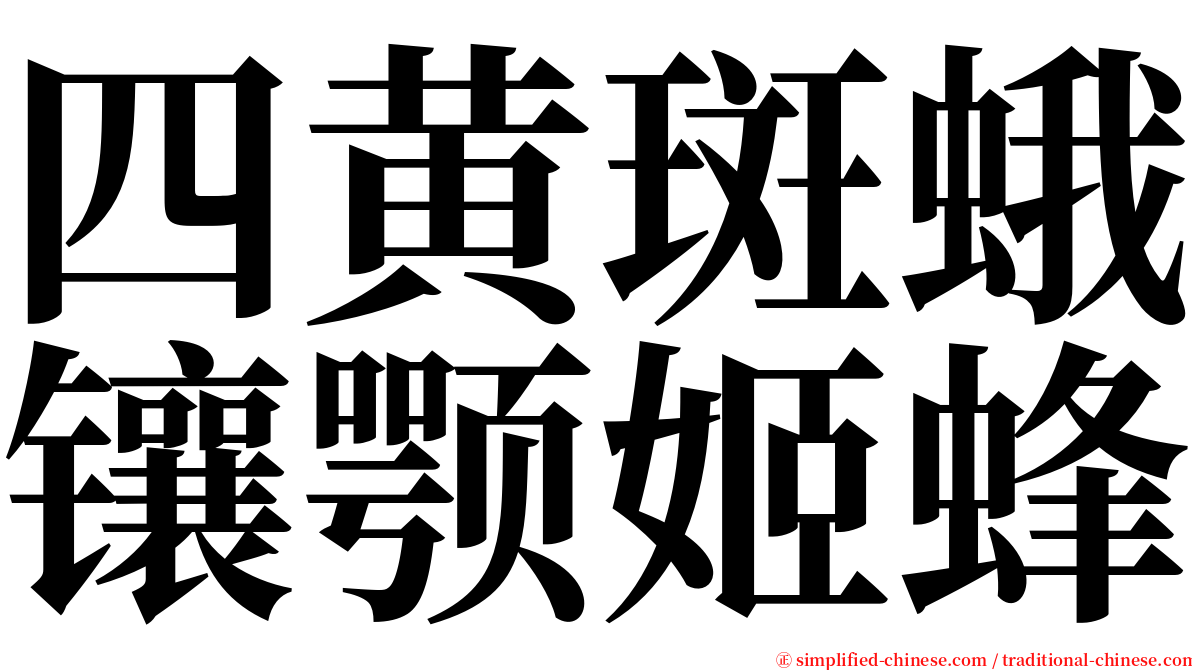 四黄斑蛾镶颚姬蜂 serif font