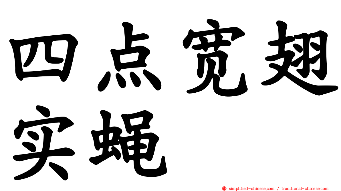 四点宽翅实蝇