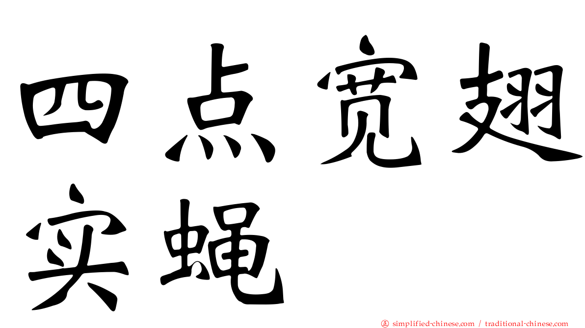 四点宽翅实蝇