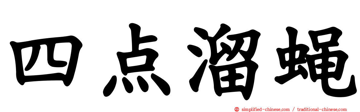 四点溜蝇
