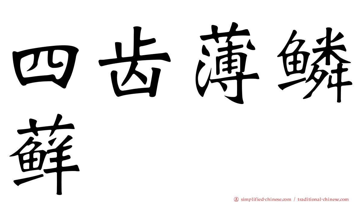 四齿薄鳞藓