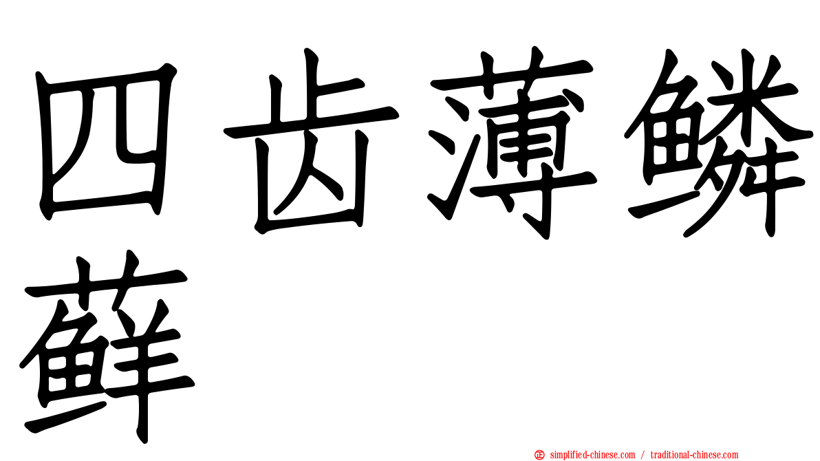 四齿薄鳞藓