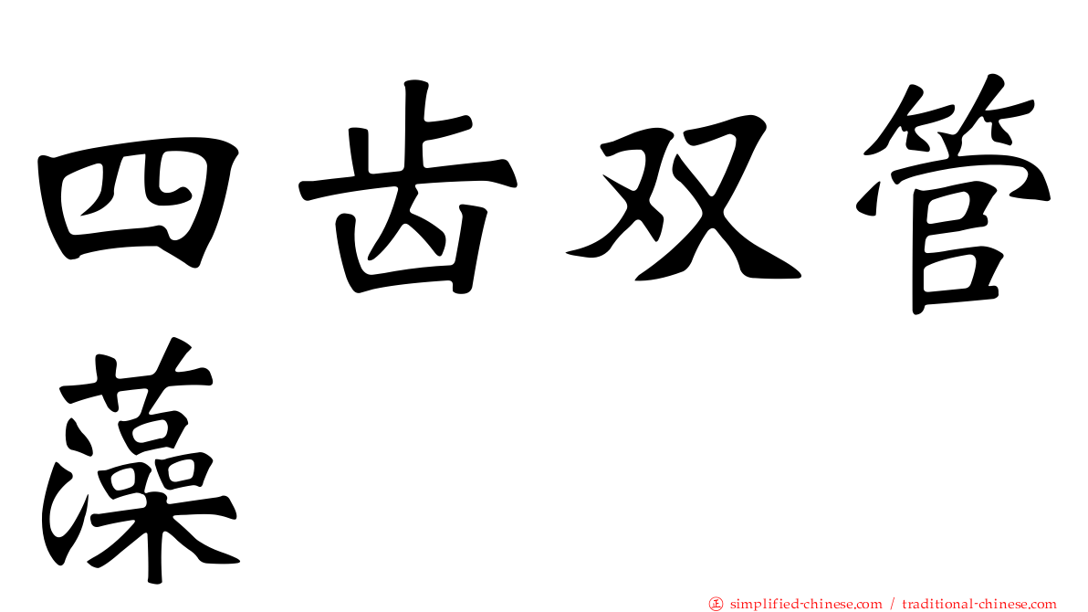 四齿双管藻